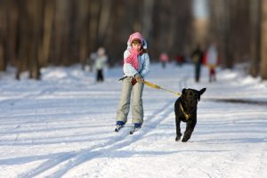 Tipps für den Winterurlaub mit Hund -